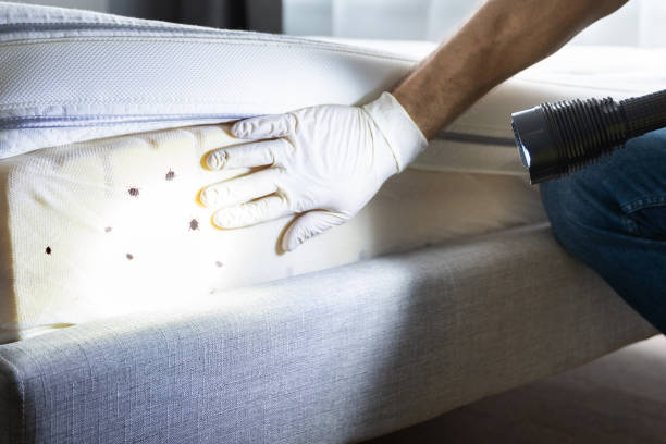 Best Pest Inspection Near Me  in Prineville Lake Acres, OR