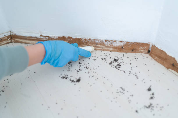Best Insect Control  in Prineville Lake Acres, OR